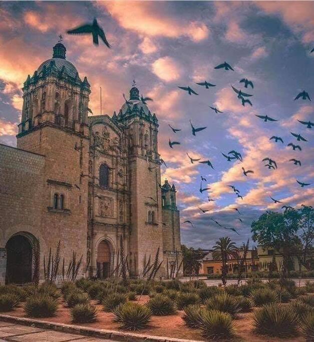 M1010 - The Best Place To Enjoy Oaxaca Exteriér fotografie